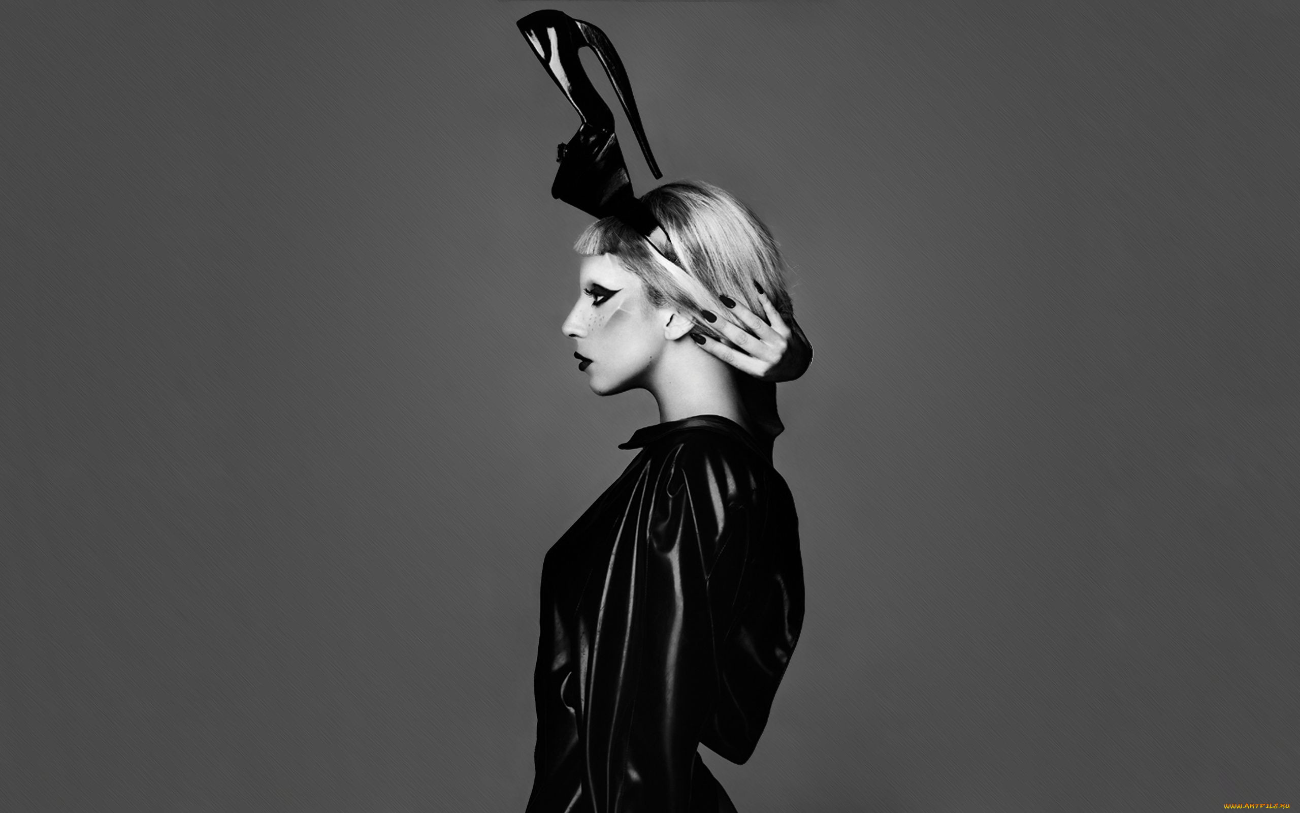 lady, gaga, 